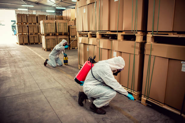 Best Rat Extermination Near Me  in West Dennis, MA