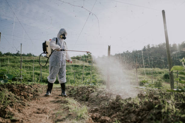Best Best Pest Control Companies  in West Dennis, MA
