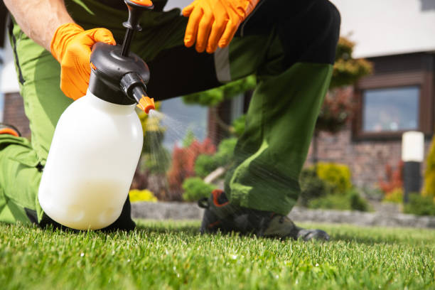 Best Pest Prevention Services  in West Dennis, MA