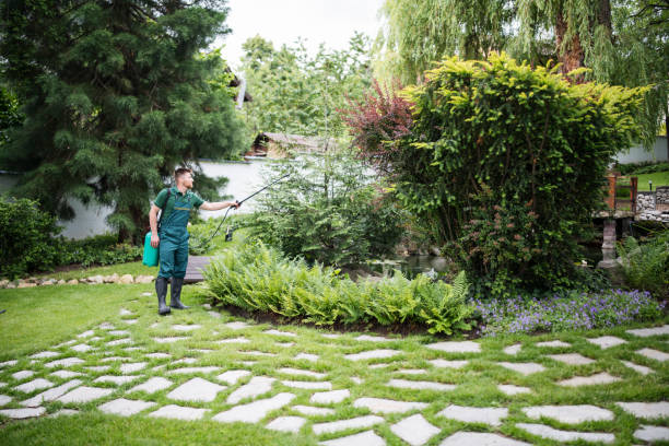 Best Pest Prevention Services  in West Dennis, MA