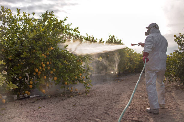 Best Pest Control for Homes  in West Dennis, MA