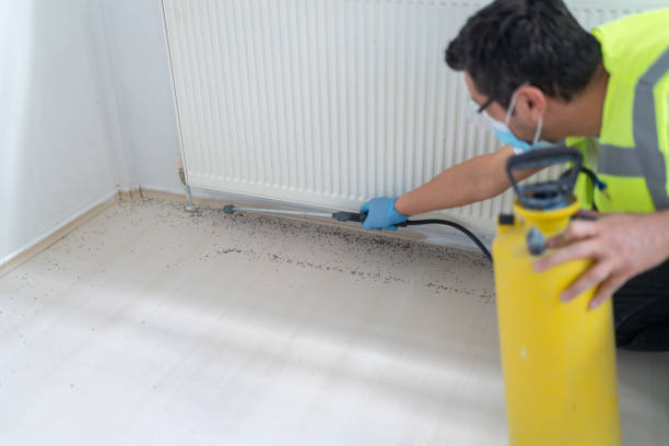Best Insect Control  in West Dennis, MA