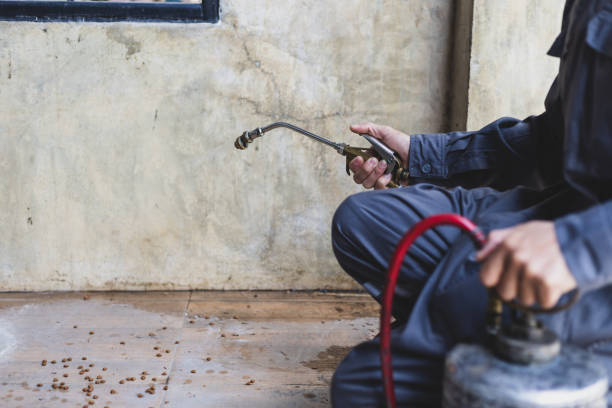 Best Pest Removal Services  in West Dennis, MA